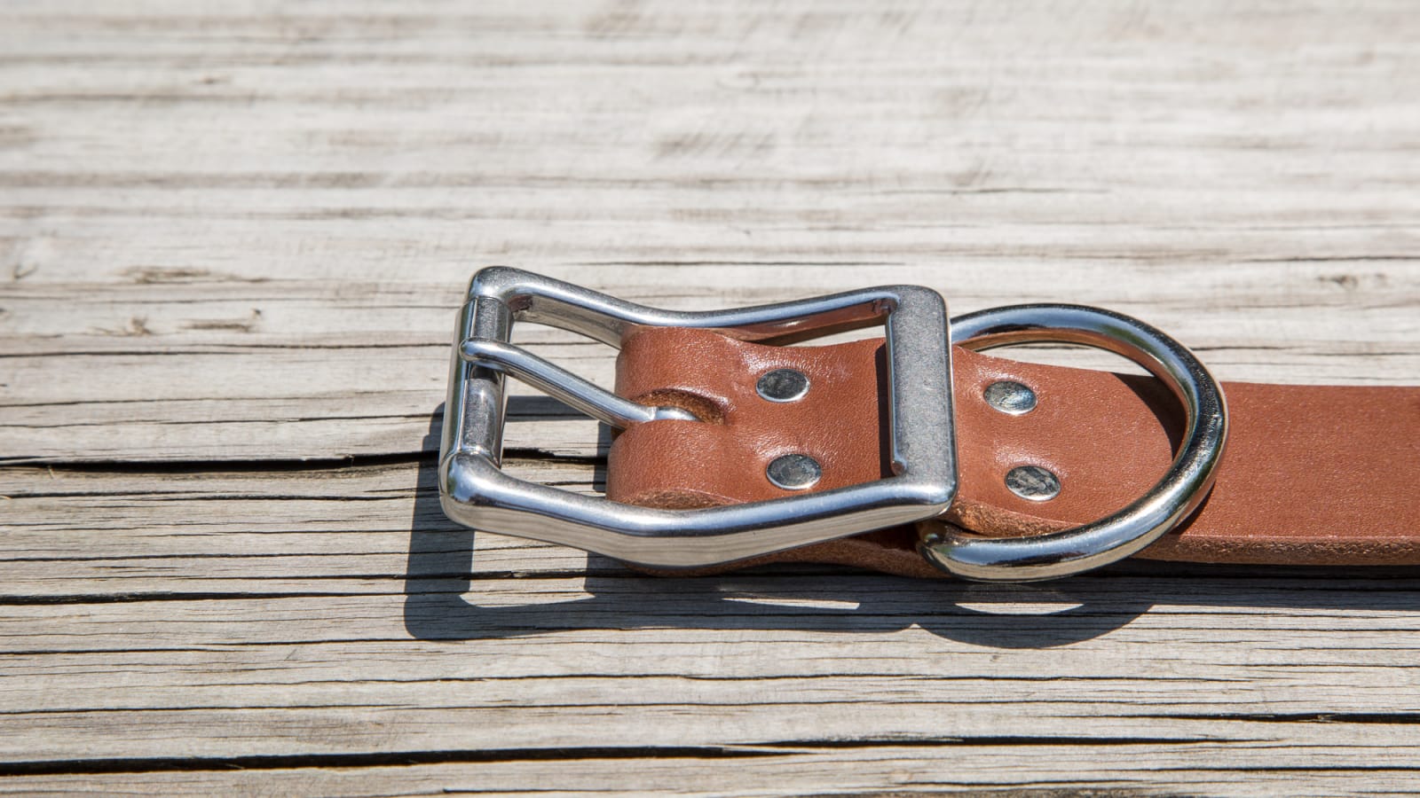 Rogue Leather Dog Collar